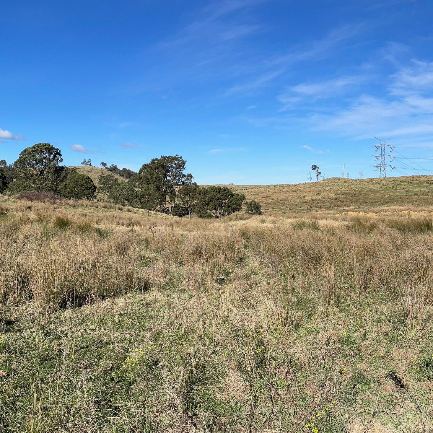 Hanworth Battery