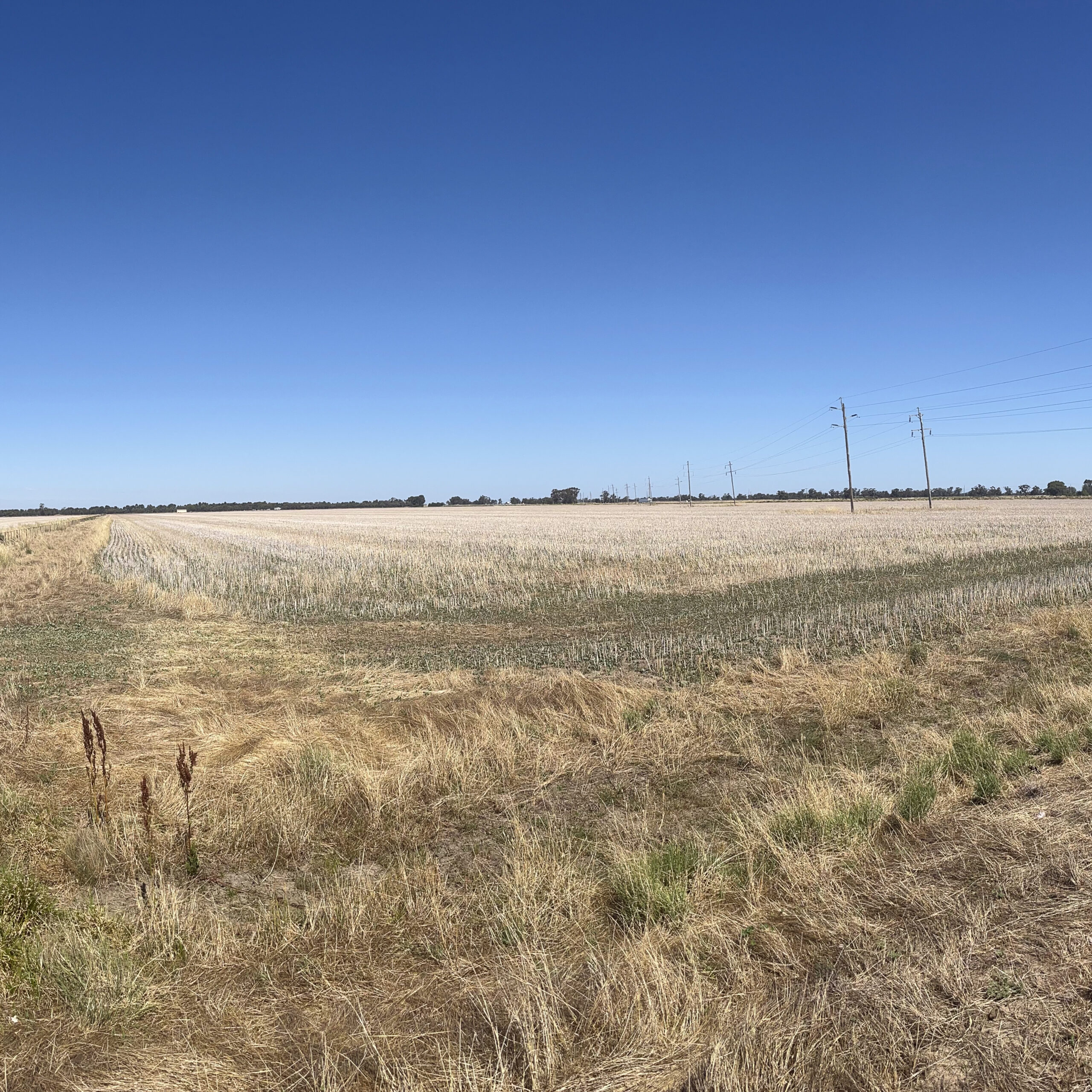 Deniliquin BESS