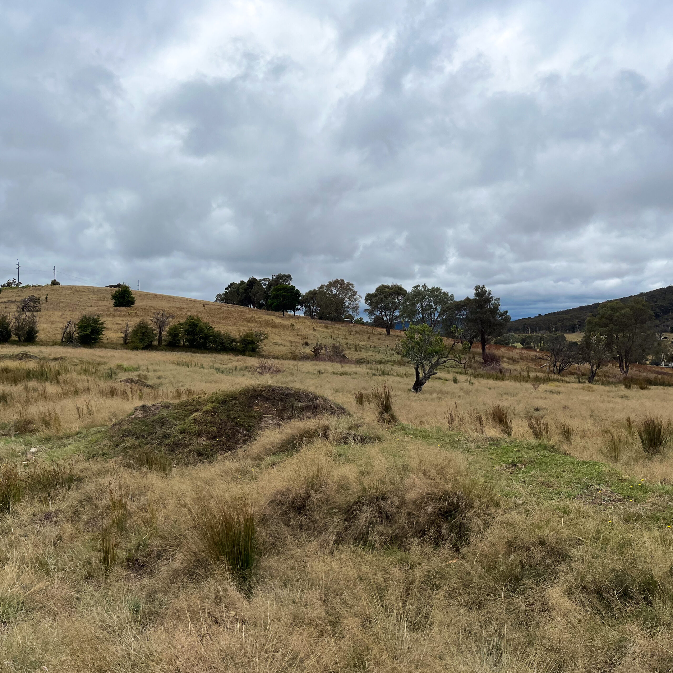 Goulburn BESS